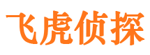 镇沅市婚姻调查